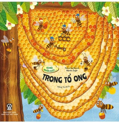 Tò mò muốn biết… trong tổ ong