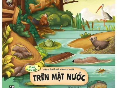 Tò mò muốn biết… trên mặt nước