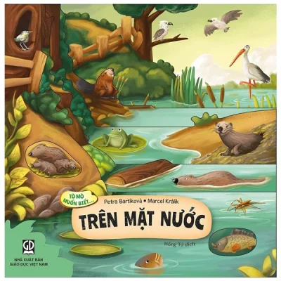 Tò mò muốn biết… trên mặt nước