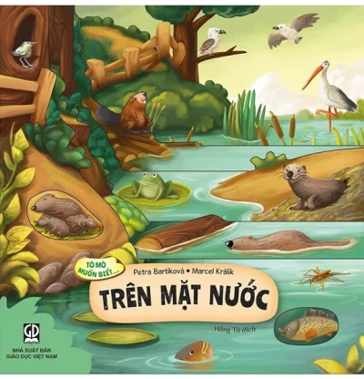 Tò mò muốn biết… trên mặt nước