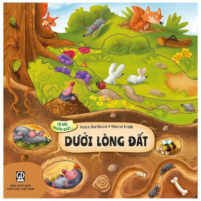 Tò mò muốn biết… dưới lòng đất