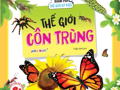 Thế giới côn trùng – Jolly Kids