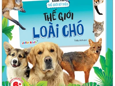 Thế giới loài chó – Jolly Kids